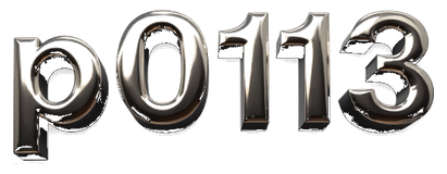 p0113 logo